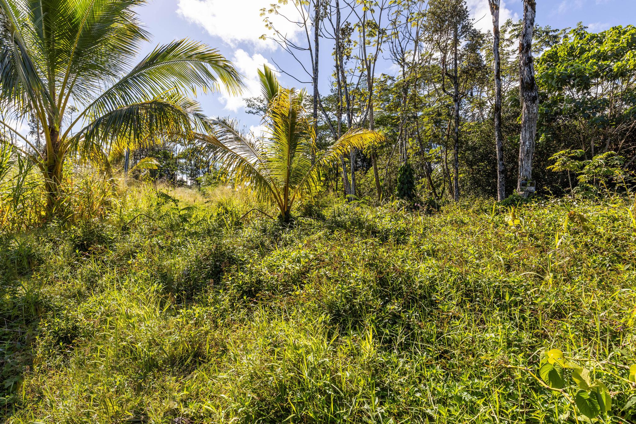 15 1974 23RD AVE Keaau HI 110 000 Land For Sale