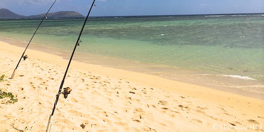 Guide to Fishing in Hawaii: Oahu, Maui, Kauai & Big Island - Oahu