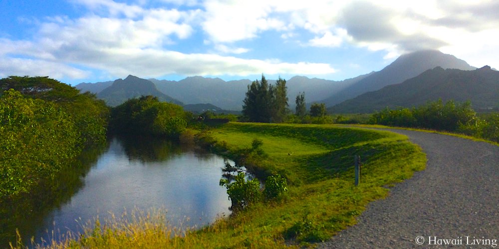 Kawainui-Hamakua Marsh