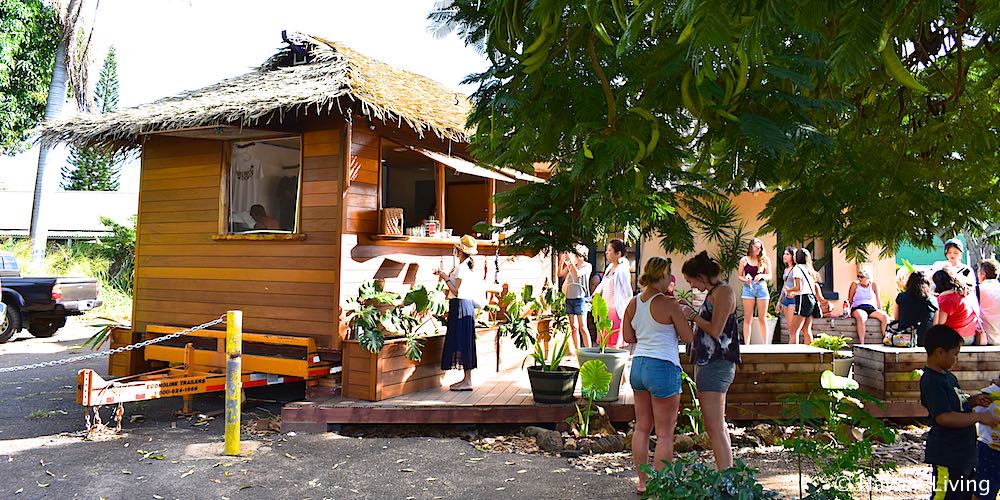 Haleiwa Bowls